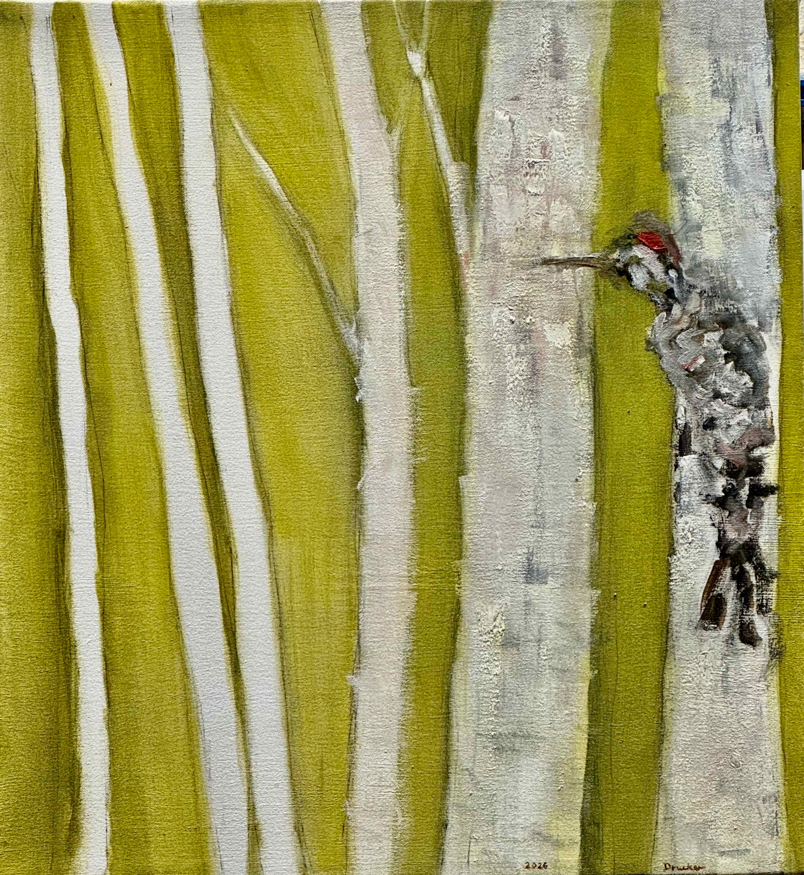 Birds, 2026