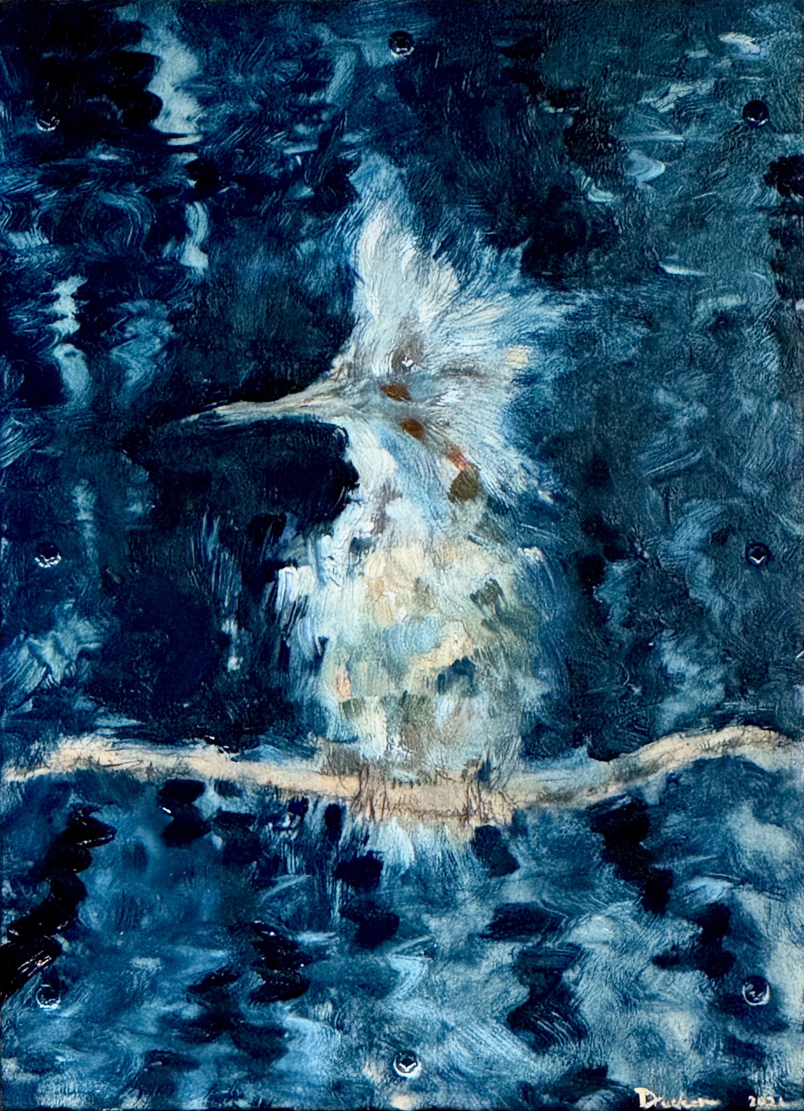 Blue Kingfisher