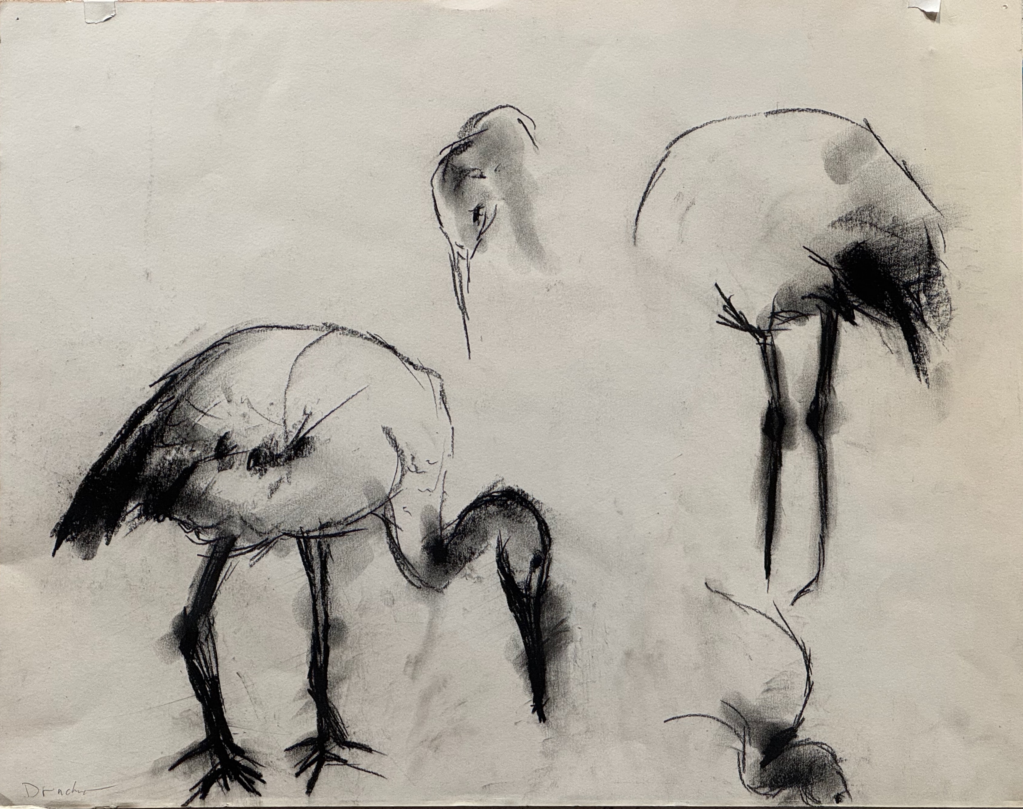 Crane Study 2