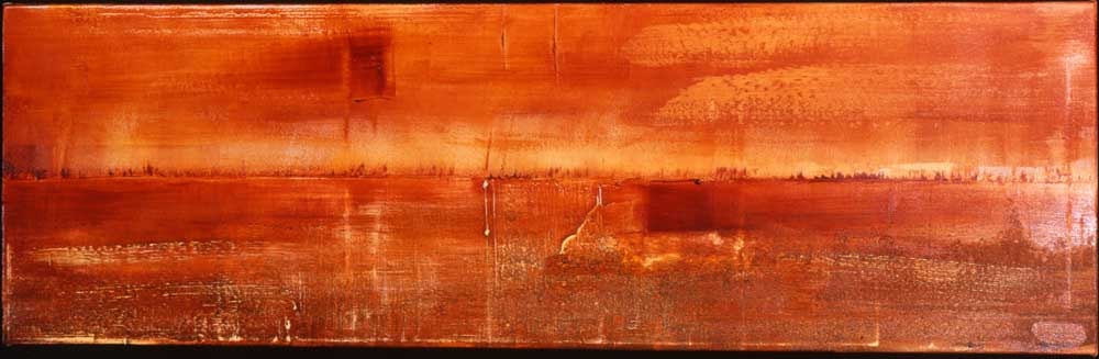 The Salted Earth II