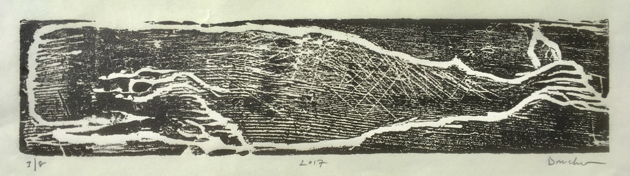 Sperm Whale #1